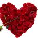 Profile Picture of Shirley Helms (@shirley.helms.904) on Facebook