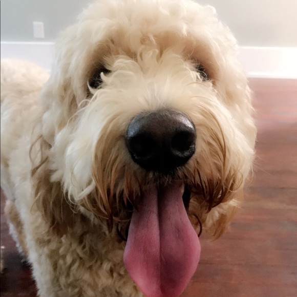 Clint Wimsett - Poshmark Profile Picture of Clint Wimsett (@clintwimsett) on Poshmark