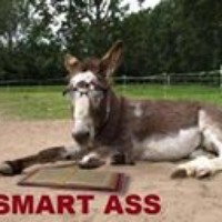 Profile Picture of Kathi Pearce (@kathi-pearce) on Quora