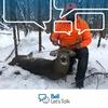 Profile Picture of Adam Pitre (@adampitre) on Tiktok