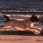 Profile Picture of Claudine Miles (@claudinesrf) on Instagram