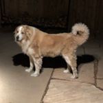 Profile Picture of Jonathan Duggan (@jonathan.duggan.98) on Instagram