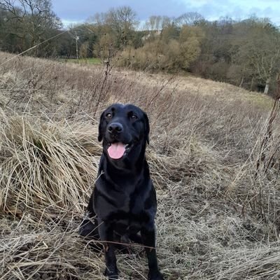 Profile Picture of James Craik (@JamesCraik6) on Twitter