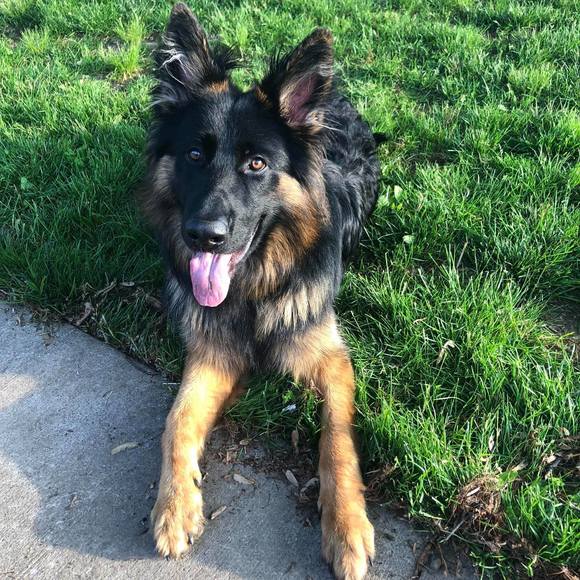 Profile Picture of James Garrison (@jimmybg) on Poshmark