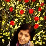 Profile Picture of Dina Patel (@drdina32) on Instagram