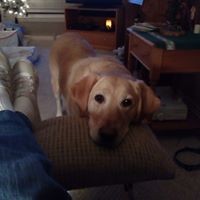 Profile Picture of Sandra Holt (@sandra-holt-21) on Quora