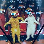 Profile Picture of Lawrence Beedle (@biffadigital) on Instagram