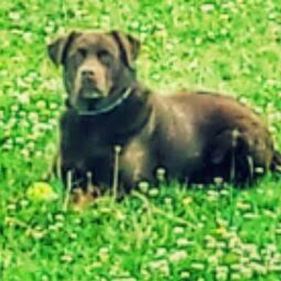 Profile Picture of Éric Nadeau (@ericnadeau1839) on Twitter