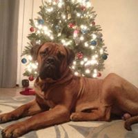 Profile Picture of Eric Bartoszak (@eric-bartoszak-1) on Quora