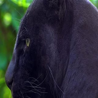 Steven Ellington - Facebook Profile Picture of Steven Ellington (@steven.ellington.79) on Facebook