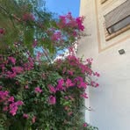 Profile Picture of Kristal Tala (@Kristal-Tala) on Facebook