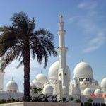 Profile Picture of Mohamed Noury (@mohamednoury) on Pinterest