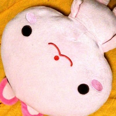 Profile Picture of 🌱 (@ki15__pyon) on Twitter