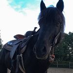 Profile Picture of Alicia Koppen (@aliciake615) on Instagram