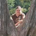 Profile Picture of Lori Eversole (@eversolelori) on Instagram