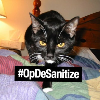 Profile Picture of Amanda Katz (@@amykatz1980) on Twitter