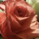 Profile Picture of Greg Eugene Pottorff (@LawnPros1980) on Facebook