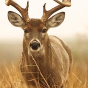 Profile Picture of Scotty Hayes (@scottyhayes3843) on Youtube