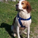 Profile Picture of Vincenzo Avitabile (@vincenzo.avitabile.940) on Instagram