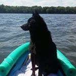 Profile Picture of Matt Zeiner (@mattzeiner) on Instagram