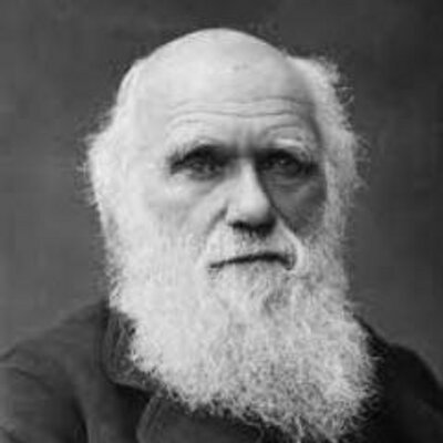 Profile Picture of Mark Sewell (@MrSewellMDHS) on Twitter