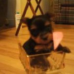 Profile Picture of Pat Alderman Dowell (@patdowell53) on Instagram