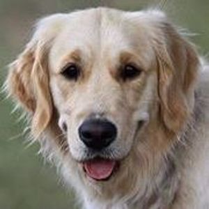 Profile Picture of Beth Coop (@beth.coop.92) on Myspace