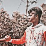 Profile Picture of Bivin Shanu (@___h_a_v_e___l_o_c_k___) on Instagram