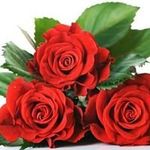 Profile Picture of Dave pounds (@pounds.dave) on Instagram