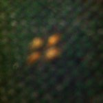 Profile Picture of Lisa Tessener (@latessener) on Instagram