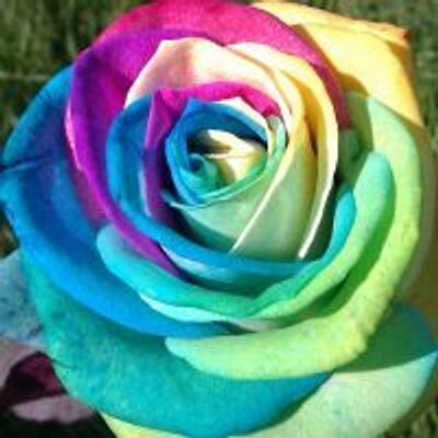 Profile Picture of Andrew Shaw (@Petshopboysfan) on Twitter