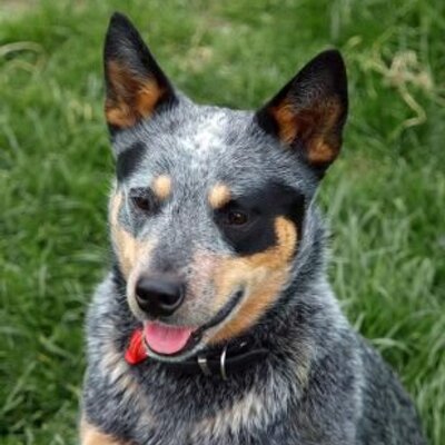 Profile Picture of James Wormley (@jwormley2005) on Twitter