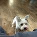 Profile Picture of Paula Parsley (@buddy66720) on Pinterest