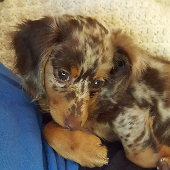 Profile Picture of Pj Willenbrink (@pjwillenbrink) on Poshmark