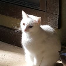 Profile Picture of Eric Pedrick (@gulen667) on Twitter