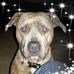 Profile Picture of Alejandro Bolanos (@alejandro.bolanos.94801) on Facebook