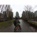 Profile Picture of Jarrad Harrison (@halfrad17) on Instagram