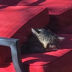 Profile Picture of Patrick Harrell (@patrick.harrell.169) on Facebook