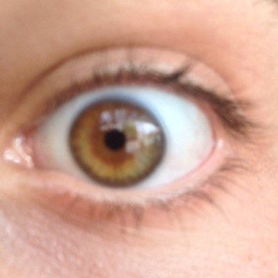 Profile Picture of Mark Bento (@markbento) on Twitter