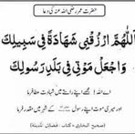 Profile Picture of Luann Cannon (@Luann-Cannon) on Facebook