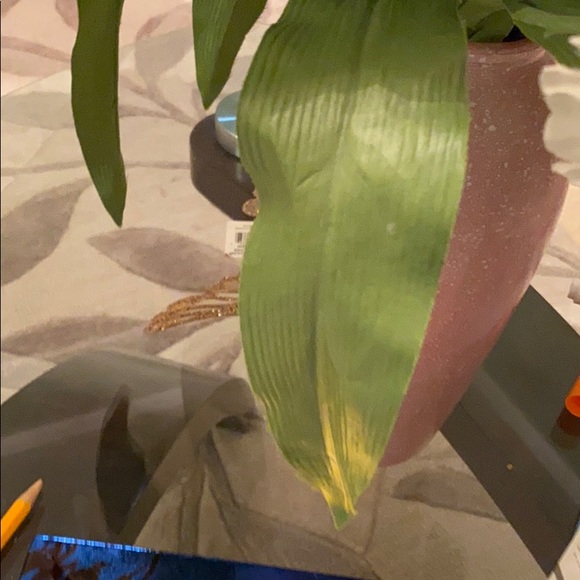 Profile Picture of Md Haque (@wahid27) on Poshmark