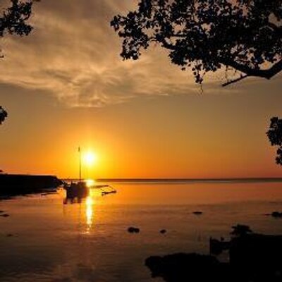 Profile Picture of Frieda Smith (@FriedaSmith1) on Twitter