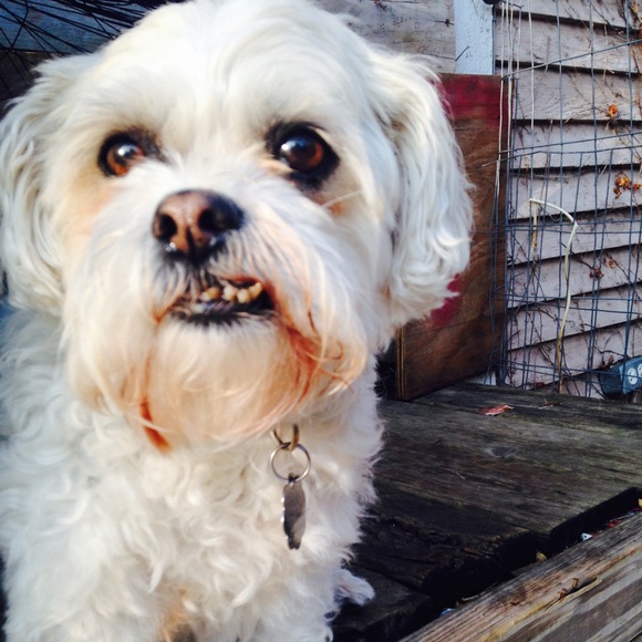 Profile Picture of Shanea Amland (@shanana_omlet) on Poshmark