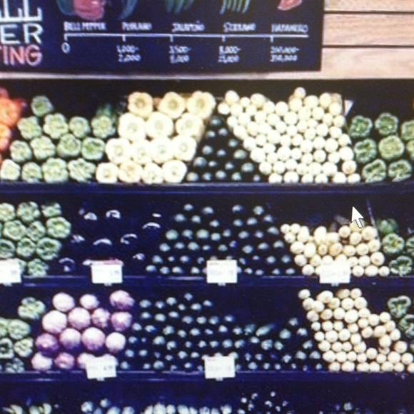 Profile Picture of Darin Meyer (@darin01) on Poshmark