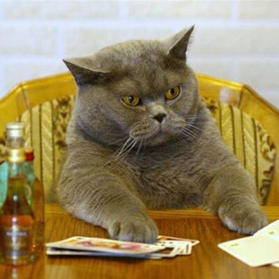 Profile Picture of Gregory Pardo (@PardoG14) on Twitter