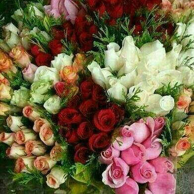 Profile Picture of Iman Hamad (@imanhamad1) on Twitter