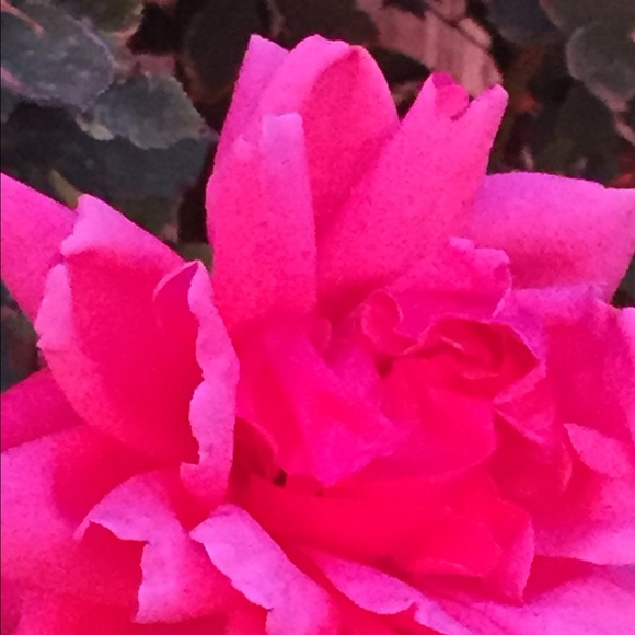 Profile Picture of Linda Frailey (@laf13) on Poshmark