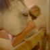 Profile Picture of Lisa Grasso (@lisa.grasso.92) on Facebook