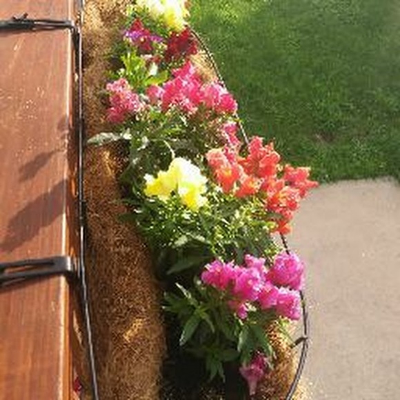 Eileen Carroll - Poshmark Profile Picture of Eileen Carroll (@allbling33) on Poshmark