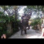 Tom Caswell - Instagram Profile Picture of Tom Caswell (@tcaswell) on Instagram